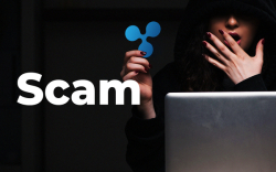 65 Mln XRP Wired Between Unregistered Wallets, While Reddit Discusses XRP Scam